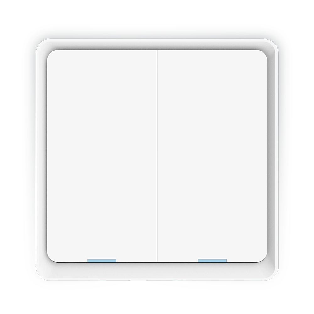 Wireless Scene Switch 2 Button